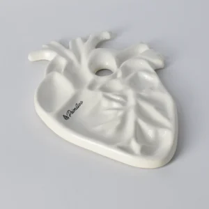 Paleta Corazón Anatómico